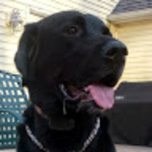 Meet your Posher, Greg